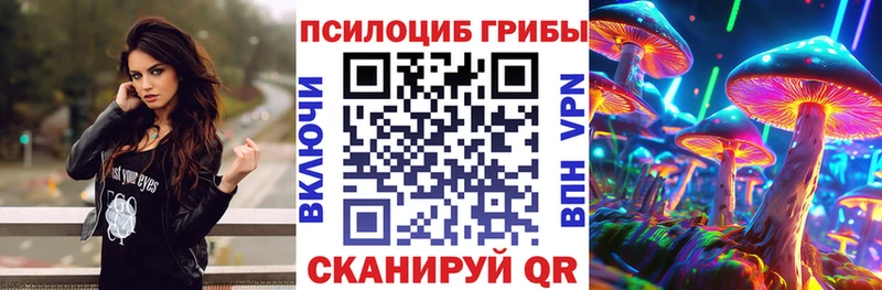 наркошоп  Богородск  Псилоцибиновые грибы Magic Shrooms 