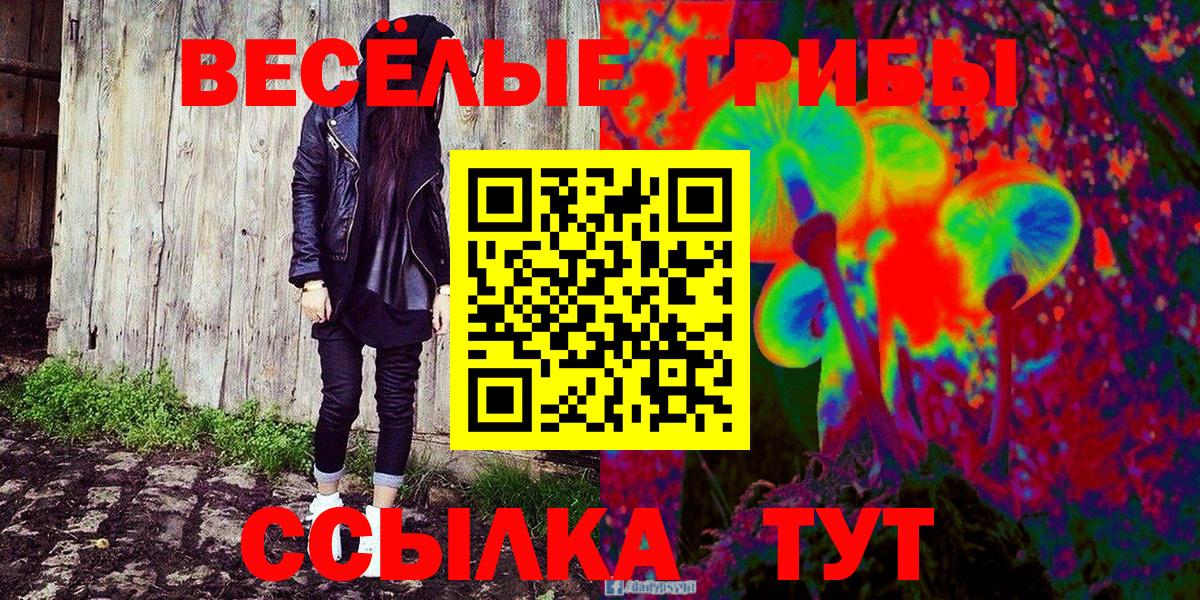 Богородск  наркота  Вход с VPN  Псилоцибиновые грибы мицелий 
